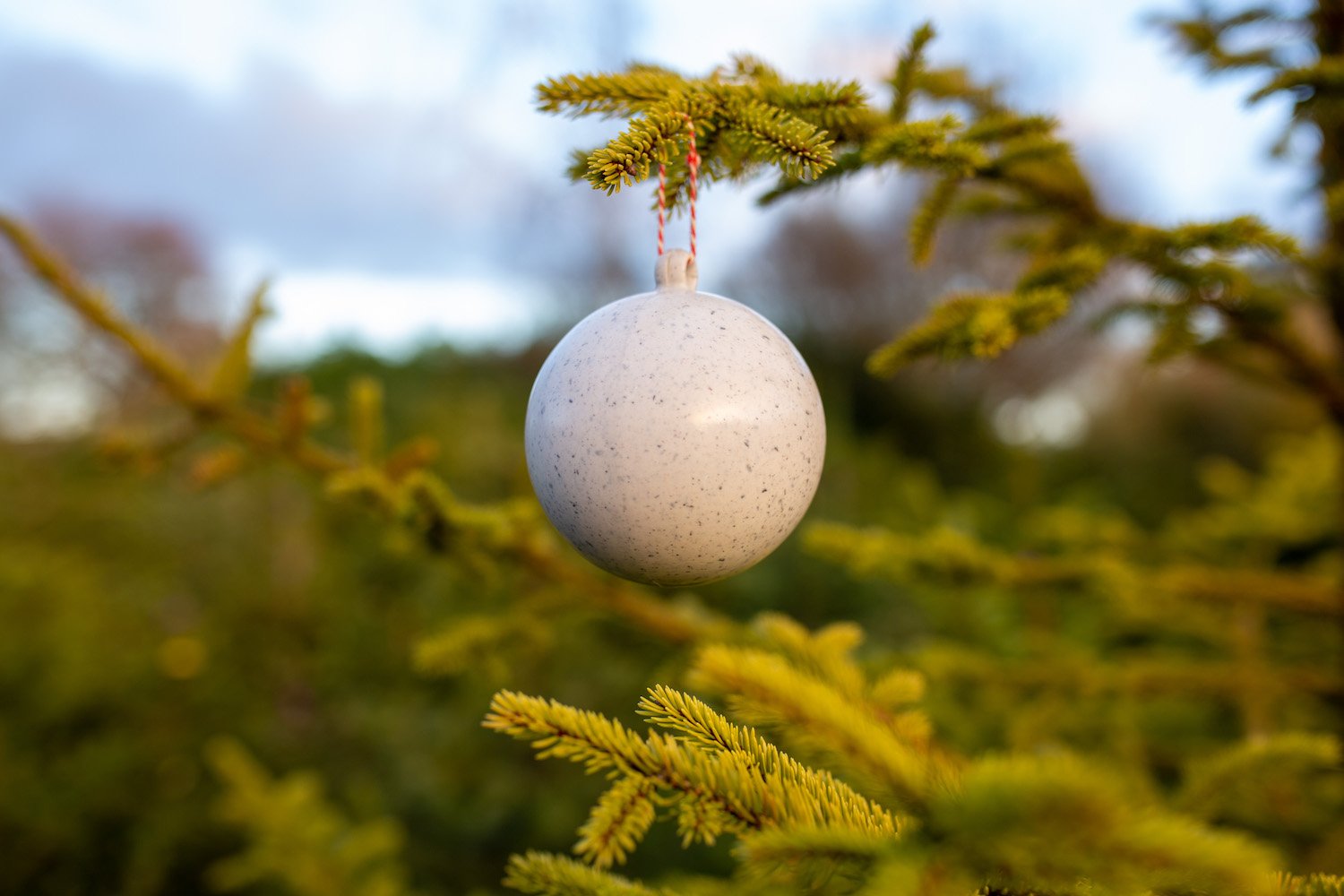 Van kerstboom naar kerstbal! Stappen & Shoppen Breda